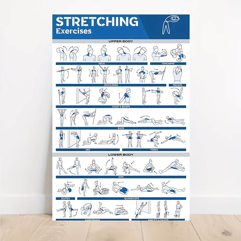 Modern Labeled Full-Body Stret - огляд і ціна Home Gym Full Body