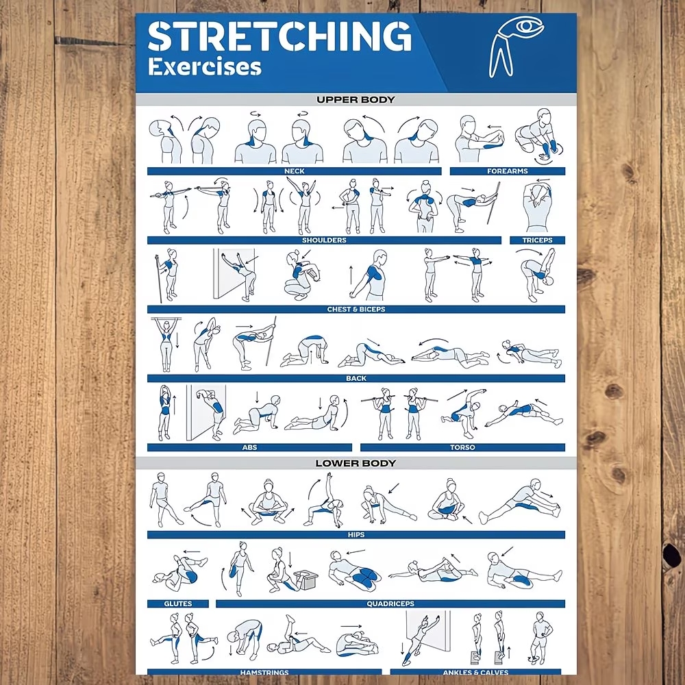 Modern Labeled Full-Body Stret - огляд і ціна Home Gym Full Body