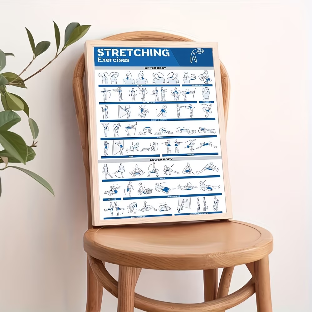 Modern Labeled Full-Body Stret - огляд і ціна Home Gym Full Body