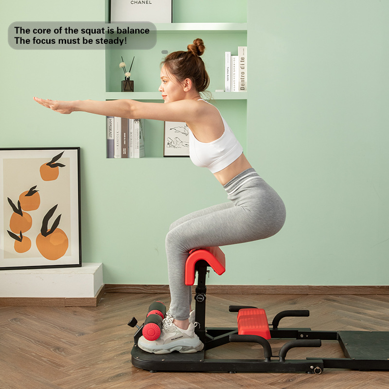 Sissy Squat Machine 3-in-1 Hom - огляд і ціна Home Gym Quad Exercises